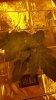 20190307_152906.jpg