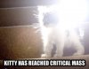 kitty_crit_mass.jpg