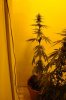 DSC06890.JPG
