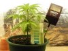 ph testing 3.jpg