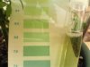 ph testing 2.jpg