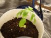 DSC00562.jpg