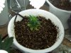 100_0130.jpg