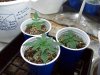 100_0129.jpg