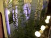 100_0131.jpg