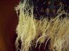 100_1006.jpg