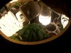 100_0282.jpg
