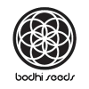 bodhi-seeds-logo.png
