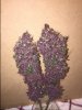 image3.jpeg