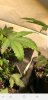 Screenshot_20190321-175156_Instagram.jpg