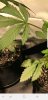 Screenshot_20190321-175144_Instagram.jpg