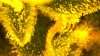 16C2006D-84C3-4955-9DA3-95455D03D89F.jpeg