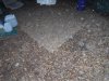 DSCF0922.JPG