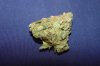 DSC04126.jpg