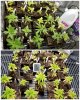 CollageMaker_20190401_235707438_compress_68.jpg CollageMaker_20190401_235707438_compress_68.jpg