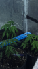 B5F67D99-B87D-4D92-B64B-208027C81A6B.png