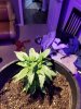 20181205_054949.jpg