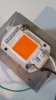 Full Spectrum 50w DOB.jpg