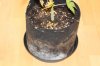 2. pot shot.JPG