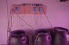 IMG_6045.jpeg
