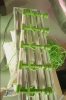 IMG_6054.jpeg