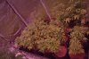 IMG_6052.jpeg