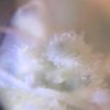 CE9F18DC-D55A-49BD-B83B-896D7FD110E0.jpeg
