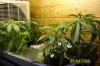 100_0851.jpg