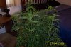 100_0862.jpg