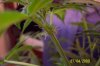 100_0867.jpg