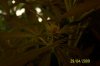 100_0873.jpg