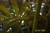 100_0876.jpg