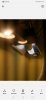 Screenshot_20190422_161854_com.android.gallery3d.jpg