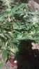 20190423_145406.jpg 20190423_145406.jpg