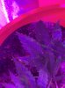 240A00EF-D25C-47CB-9227-8347AC22E07D.jpeg