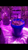 3F98A462-FAE1-4F1F-8C35-D013107FAA97.png