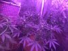0F13B707-FEB4-4772-9BED-ACE6BCB2FC94.jpeg