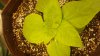 20190504_115647.jpg