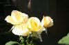 IMG_0073.JPG