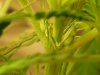 grow journal 445.jpg