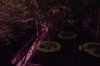 IMG_6171.jpeg