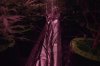 IMG_6172.jpeg