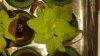 20190512_102600.jpg