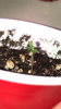 062A5AF2-7707-477C-93F6-020CE15D1609.png