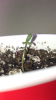 E8D540B4-6F94-43E9-A0BE-8963A68BCF8A.png