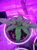 IMG_20190516_173652.jpg