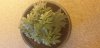 20190523_091443.jpg 20190523_091443.jpg