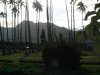 P5010151.jpg
