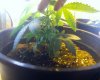 05-01-09_2333.jpg