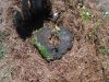 DSCF1661.JPG